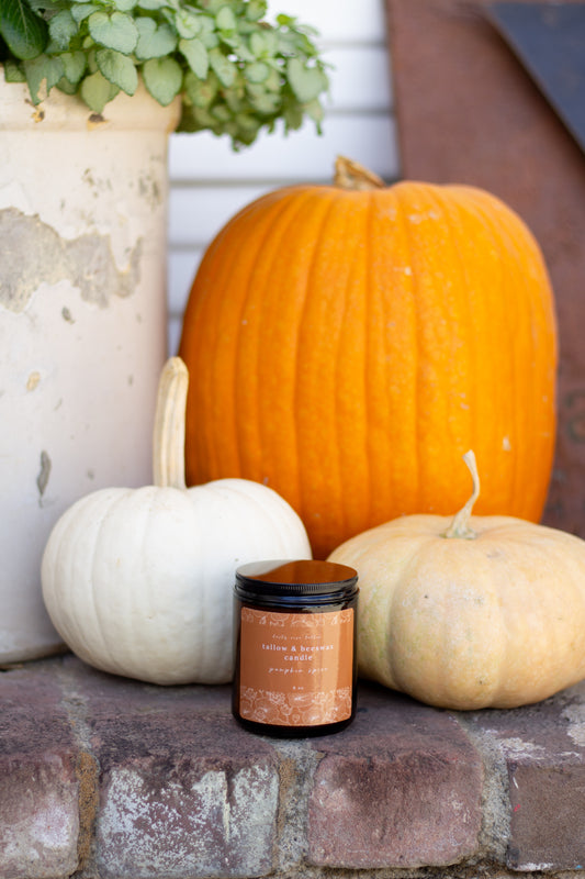 tallow & beeswax candle - pumpkin spice